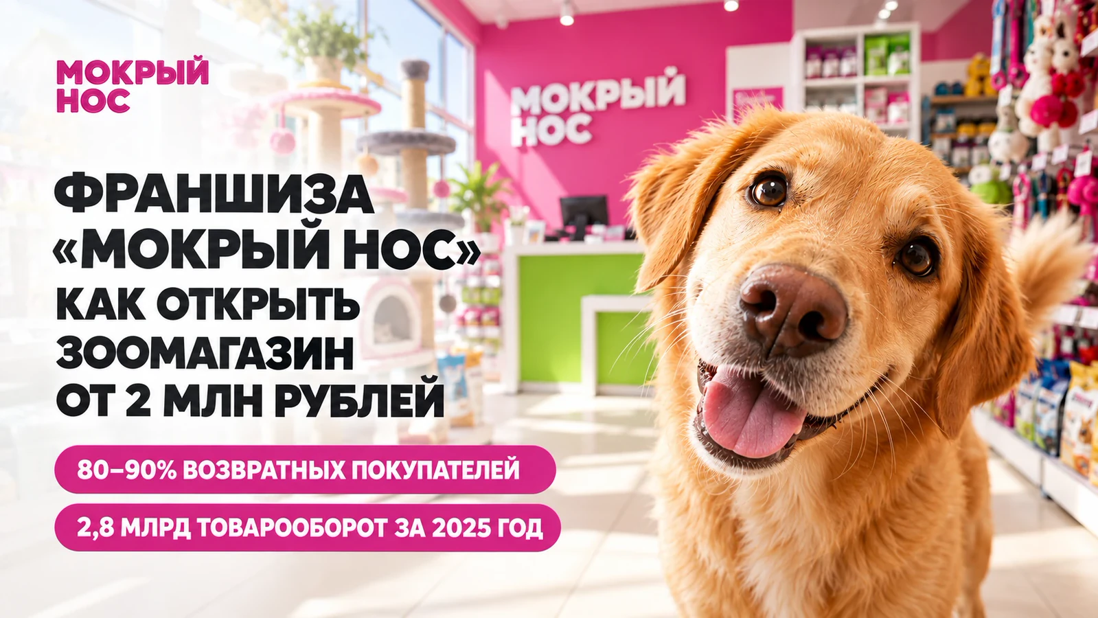 Франшиза «Мокрый нос»: обложка статьи об открытии зоомагазина