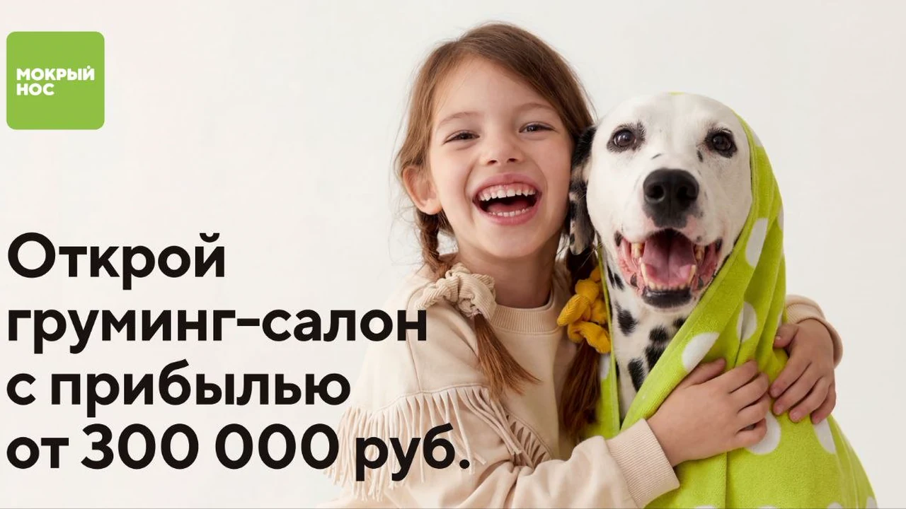 Мокрый нос Груминг